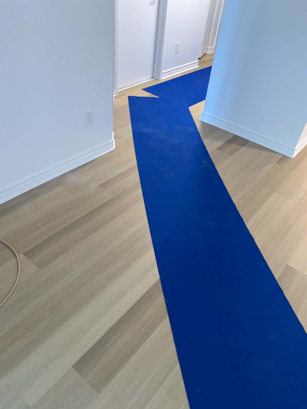Blue floor runner laid down a hallway before the crew starts carrying